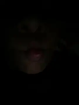 Luna025 online show from February 24, 4:43 am