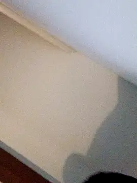 Andrez5041 online show from October 14, 4:02 am