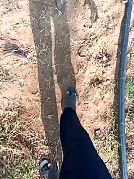 dolphiinn online show from February 25, 3:16 am