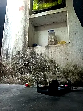 Snapshot of cute_diya_12 chatting on December 14, 2:50 am cute diya 12 online show from December 14, 2:50 am