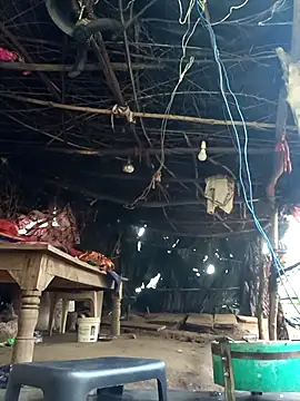 Snapshot of cute_diya_12 chatting on December 17, 3:01 am cute diya 12 online show from December 17, 3:01 am