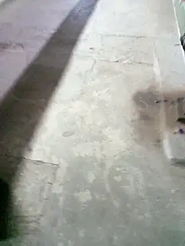 boyraj28 online show from March 5, 2:07 am