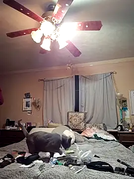 Snapshot of mresquared chatting on March 25, 3:34 am mresquared online show from March 25, 3:34 am