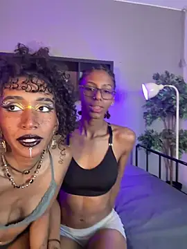 lynx sun online show from February 4, 9:42 pm