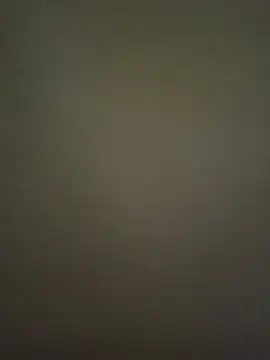 Floki69Hub online show from July 10, 5:37 pm