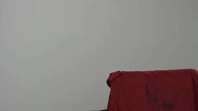 Snapshot of Rocky_Muscle chatting on February 5, 4:50 am Rocky Muscle online show from February 5, 4:50 am