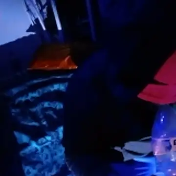 johnboones10 online show from February 22, 5:00 pm