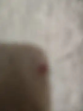 sert erkekk online show from January 13, 9:42 pm