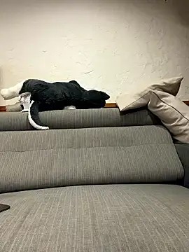 Snapshot of black_xun chatting on January 16, 2:32 pm black xun online show from January 16, 2:32 pm