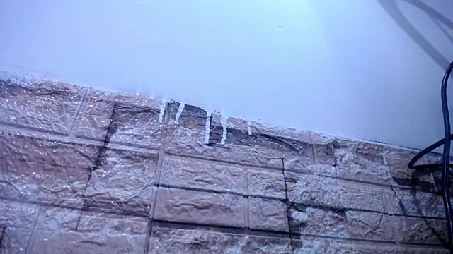 Bicky 24 online show from April 4, 8:34 am