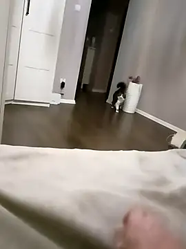 NiceBadgera online show from October 10, 6:40 pm