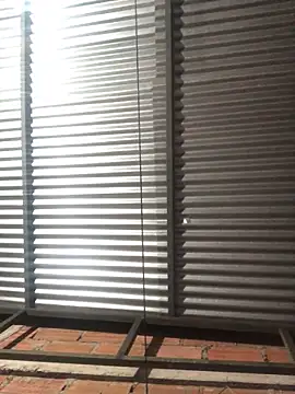 Snapshot of elpeluchenegroxxx3 chatting on February 13, 3:13 am elpeluchenegroxxx3 online show from February 13, 3:13 am