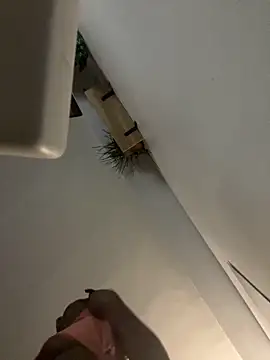 littyleesh1 online show from April 14, 4:29 am