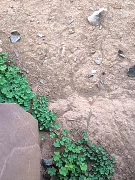 Ag punam online show from February 10, 2:15 am