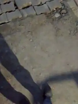 haryanaboypanipat12 online show from March 17, 1:25 pm