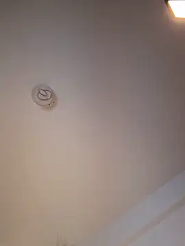 Snapshot of Andrestarr chatting on March 11, 6:47 pm Andrestarr online show from March 11, 6:47 pm