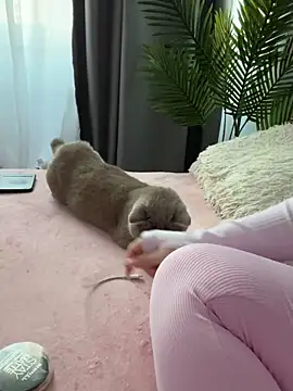 Snapshot of Andrestarr chatting on March 14, 2:55 pm Andrestarr online show from March 14, 2:55 pm