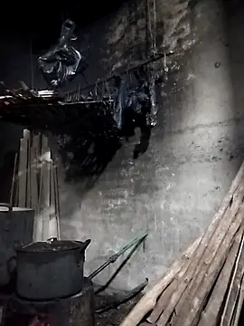 Dung x online show from March 28, 1:00 pm