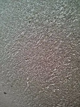 bold guy 1234 online show from March 30, 6:03 am