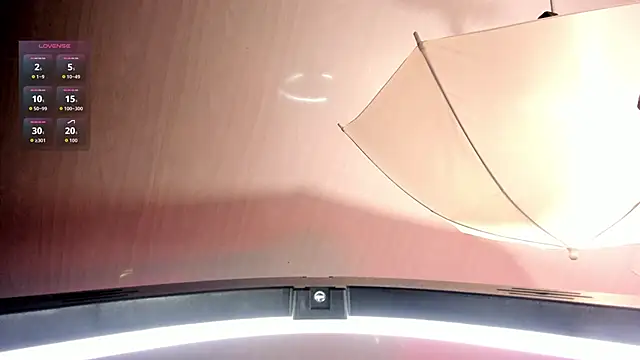 amaraa lewiis online show from October 11, 12:15 pm