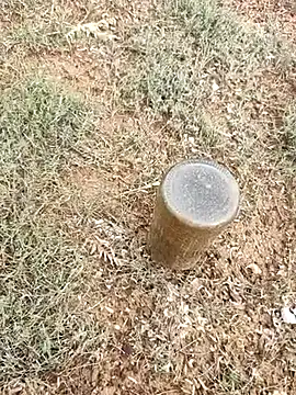 telugumodda4396 online show from October 6, 2:31 am