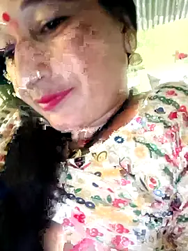 Haliya88 online show from November 2, 8:17 am