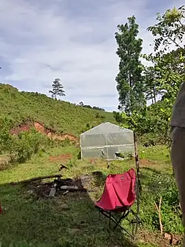 Helen-Tran online show from October 24, 1:35 am