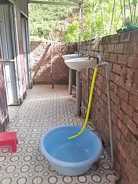 Helen-Tran online show from November 24, 2:00 am