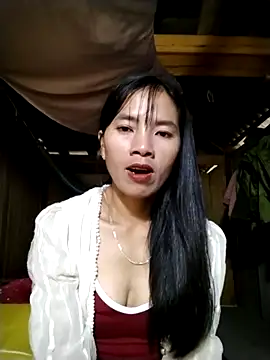 lmc-zz online show from November 1, 1:29 am