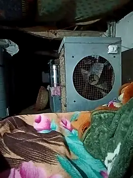 Lona2525 online show from February 16, 8:38 pm