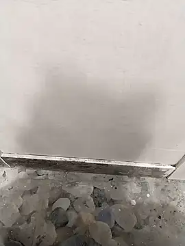 bunty-babli online show from November 12, 4:13 am