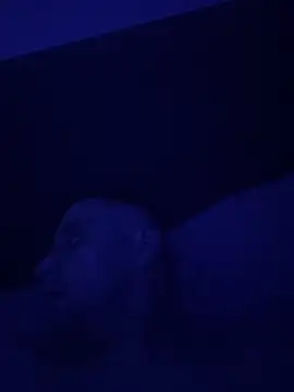 Wearpantyhosenorfolk online show from April 26, 4:43 am