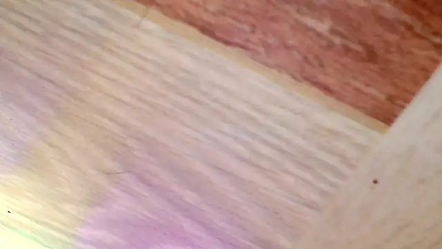 shannon kinne  online show from March 31, 4:40 pm