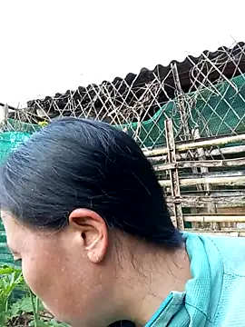 Snapshot of jerry-xx chatting on January 18, 9:57 am jerry-xx online show from January 18, 9:57 am