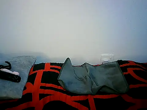 Ntokozo290 online show from November 11, 7:03 pm