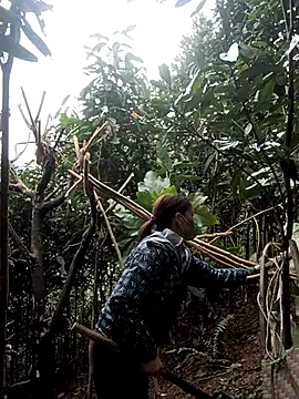 nat-tri online show from January 7, 5:32 am