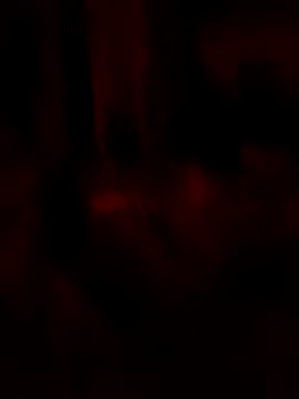 goloso80 online show from May 22, 2:51 am