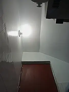 celeste 83 online show from October 27, 4:22 pm