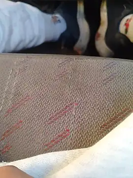 Snapshot of 666Daemon666 chatting on January 17, 11:19 pm 666Daemon666 online show from January 17, 11:19 pm