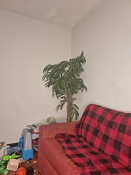 SweetieP11 online show from November 3, 5:03 pm