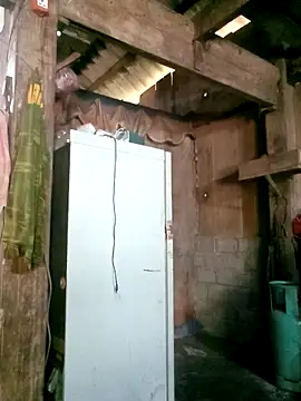 Noelle-e online show from March 25, 5:13 am