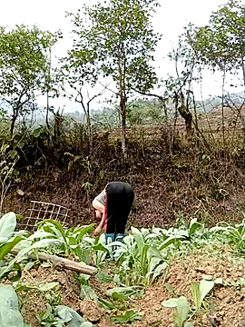 Noelle-e online show from April 7, 10:26 am