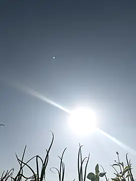 devil boy 0909 online show from March 5, 3:46 am