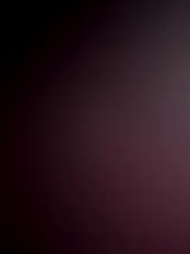 WildNour online show from November 18, 6:51 am