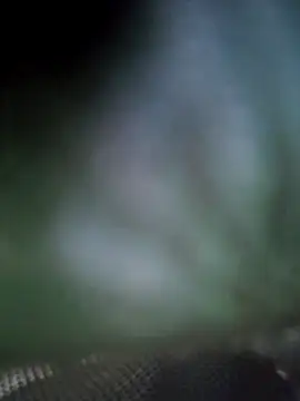 Georgette466 online show from April 18, 2:10 pm