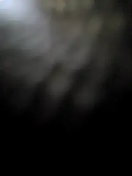 hotestanal online show from December 16, 9:25 am