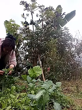 Snapshot of Alice-567 chatting on January 11, 9:25 am Alice-567 online show from January 11, 9:25 am