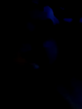 KARNEs24666 online show from November 7, 9:31 am