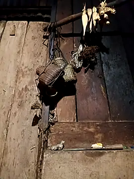 Snapshot of -Chua-90 chatting on February 9, 11:36 am -Chua-90 online show from February 9, 11:36 am