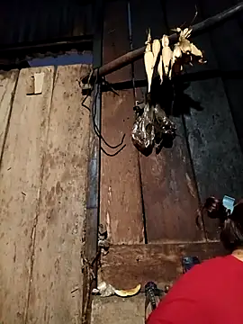 Snapshot of -Chua-90 chatting on February 19, 11:12 pm -Chua-90 online show from February 19, 11:12 pm